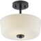 Progress Lighting Tobin Collection Two-Light 12-1/4" Semi-Flush Convertible P350137-031 - alternate 8